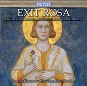 Exit Rosa cover image