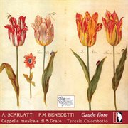 Scarlatti & Benedetti : Gaude Flore cover image