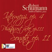 Schumann : Works For Piano cover image