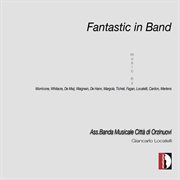 Fantastic In Band cover image