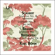 Schubert : Symphony Nos. 8 & 9. Brahms. Symphony No. 1 (live) cover image
