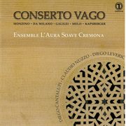 Conserto Vago cover image