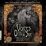 Voices From The Other Side cover image