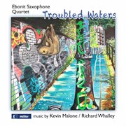 Troubled Waters cover image