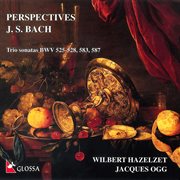 Perspectives cover image