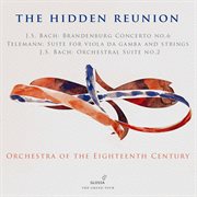 The Hidden Reunion cover image