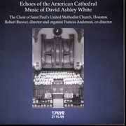 White : Echoes Of The American Cathedral cover image