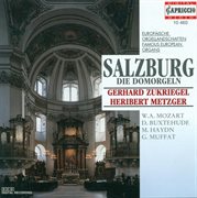 Organ Recital : Metzger, Heribert / Zukriegel, Gerhard. Buxtehude, D. / Bruna, P. / Piazza, G. cover image