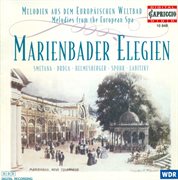 Orchestral Music : Manner, F. / Spohr, L. / Labitzky, J. / Kruttner, T. / Smetana, B. / Hoch, T cover image