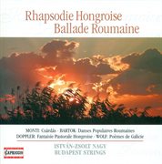Flute And String Orchestra Arrangements : Brahms, J. / Porumbescu, C. / Enescu, G. / Doppler, F cover image