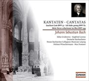 Bach, J.s. : Cantatas. Bwv 51, 82, 199 cover image