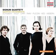 Quartettsätze cover image