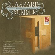 Kummer : Chamber Music For Flute, Guitar And Strings cover image
