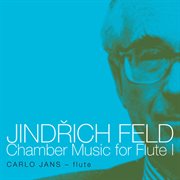 Feld : Chamber Music For Flute, Vol. 1 cover image