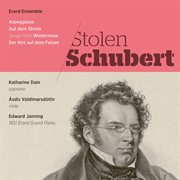 Stolen Schubert cover image