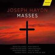 Haydn : Masses cover image