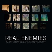 Real Enemies cover image