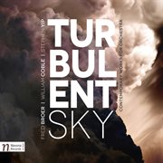 Turbulent Sky cover image