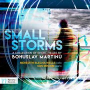 Small Storms cover image