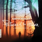 Kamyar Mohajer : Pictures Of The Hidden cover image