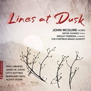 Lines At Dusk cover image
