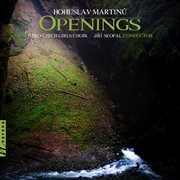 Openings cover image