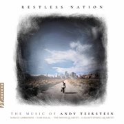 Andy Teirstein : Restless Nation cover image