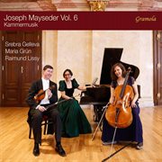 Mayseder : Kammermusik, Vol. 6 cover image