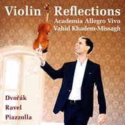 Violin Reflections (live) cover image