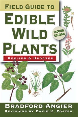 Cover image for Field Guide to Edible Wild Plants