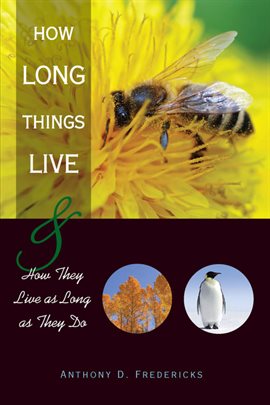 Cover image for How Long Things Live