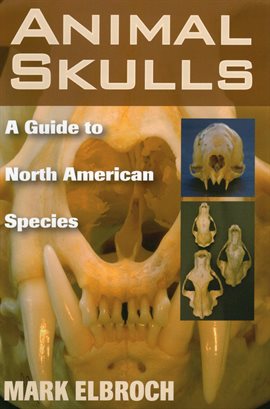 Cover image for Animal Skulls