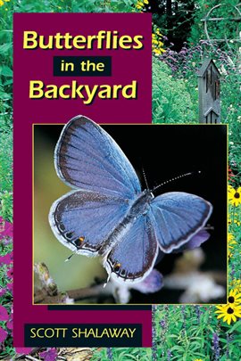 Cover image for Butterflies in the Backyard