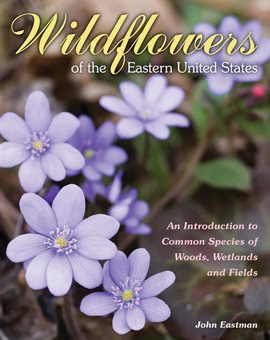 Cover image for Wildflowers of the Eastern United States