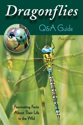 Cover image for Dragonflies: Q&A Guide