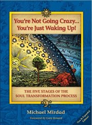 You're Not Going Crazy ... You're Just Waking Up! : the Five Stages of the Soul Transformation Process cover image