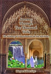 Journey through ten thousand veils cover image