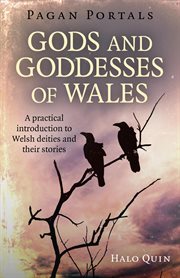Gods and goddesses of Wales : a practical introduction to Welsh deities and their stories cover image