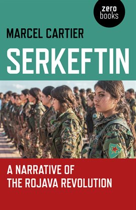 Cover image for Serkeftin