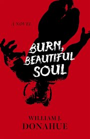 Burn, beautiful soul cover image