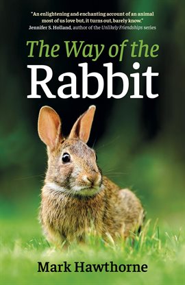 Cover image for The Way of the Rabbit
