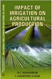 Impact of irrigation on agricultural production cover image