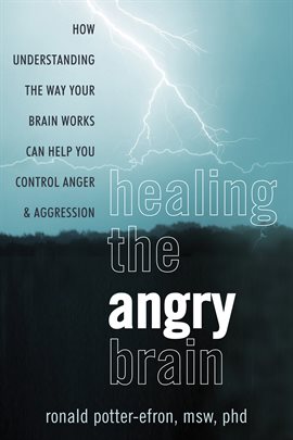 Cover image for Healing the Angry Brain