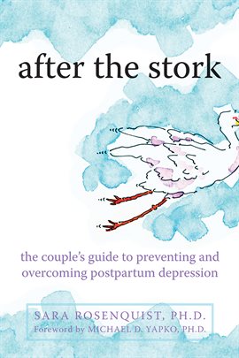 Cover image for After the Stork