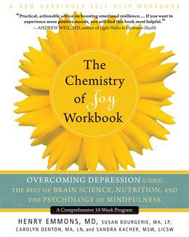 Cover image for The Chemistry of Joy Workbook