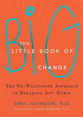 Cover image for The Little Book of Big Change