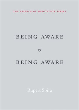 Cover image for Being Aware of Being Aware