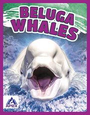Beluga Whales cover image