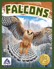 Falcons cover image