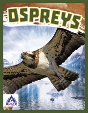 Ospreys cover image